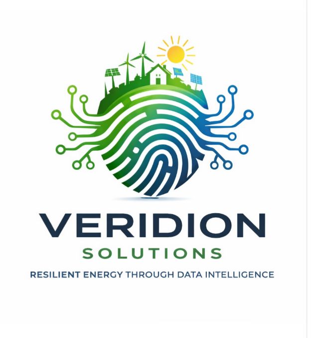 Veridion Solutions